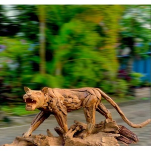 Teak Root Animal